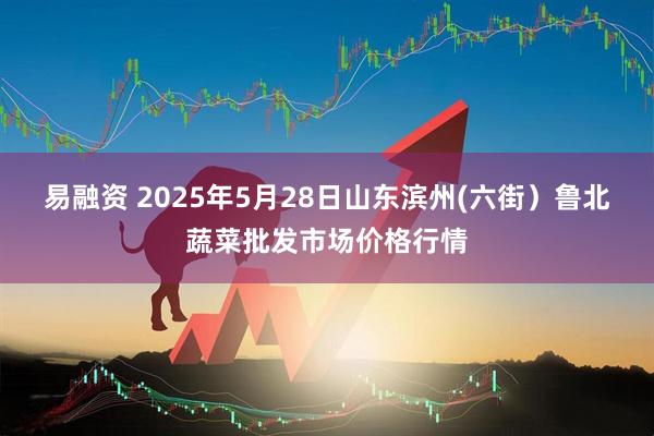 易融资 2025年5月28日山东滨州(六街）鲁北蔬菜批发市场价格行情