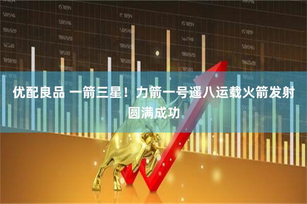 优配良品 一箭三星！力箭一号遥八运载火箭发射圆满成功