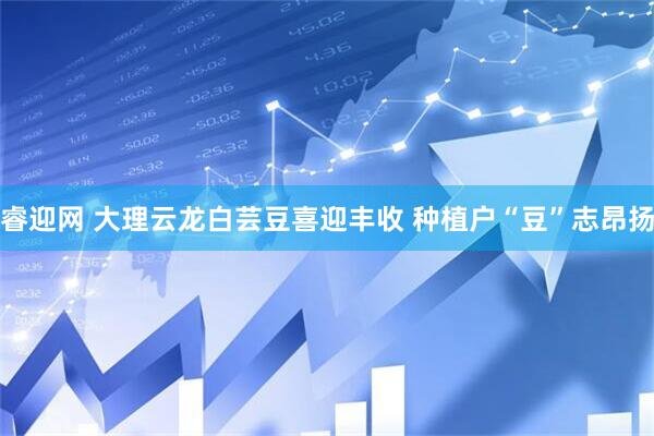 睿迎网 大理云龙白芸豆喜迎丰收 种植户“豆”志昂扬